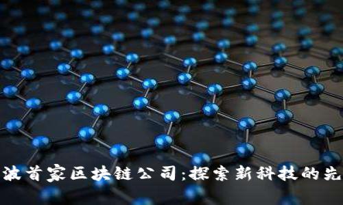 宁波首家区块链公司：探索新科技的先锋